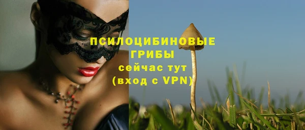 таблы Данков