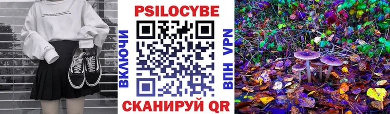 Псилоцибиновые грибы Magic Shrooms  OMG ONION  Козьмодемьянск  как найти закладки 